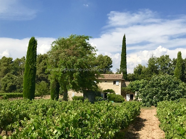 In Provence, beautiful farmhouse to rent with view on the Luberon 